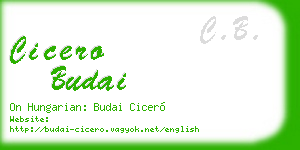 cicero budai business card